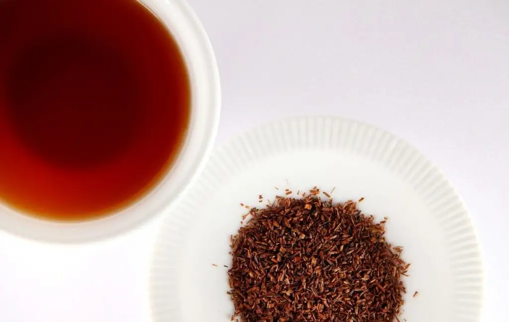 Iced rooibos tea recipe